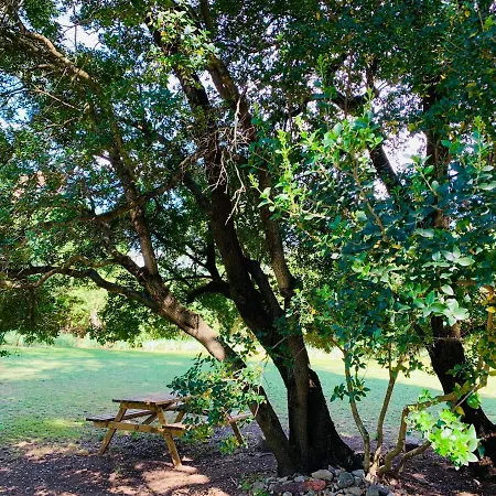 Domaine des Ondes-3